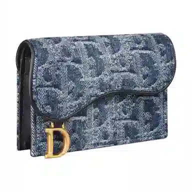 DIOR SaddleOBLIQUE D