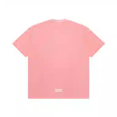 Aape T