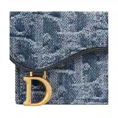 DIOR SaddleOBLIQUE D