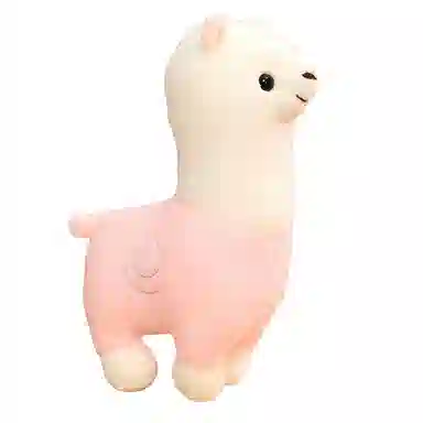 25cm35cm80cm