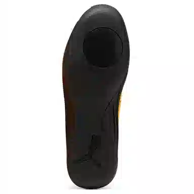 PUMA evoSPEED Throw 10.5