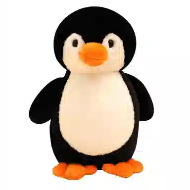 25cm30cm40cm