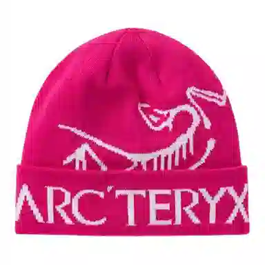 Arcteryx Beanie