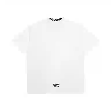 Aape T