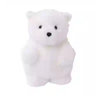 23cm30cm