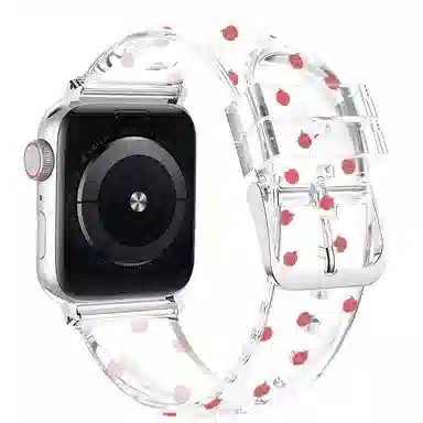 MSSM Apple Watch ESS9876
