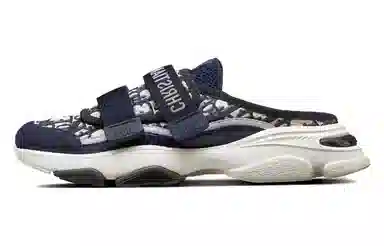 DIOR D-Wander