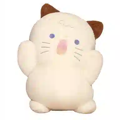 25cm