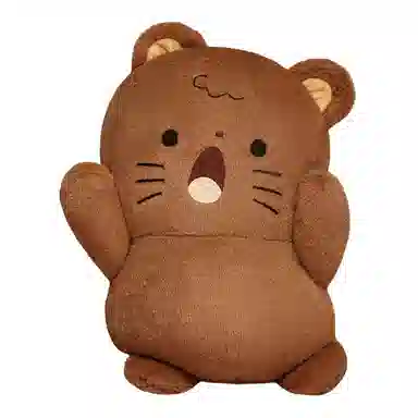 25cm