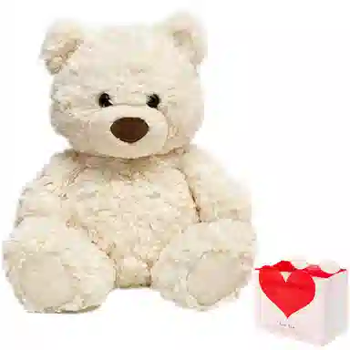 MINISO 26cm50cm