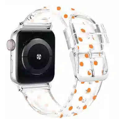MSSM Apple Watch ESS9876