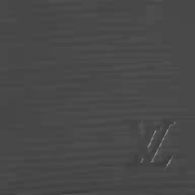 Louis Vuitton Multiple Epi Wallet Black