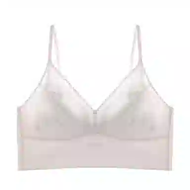 黛尔佳人 无痕大胸显小胸聚拢性感文胸 女款