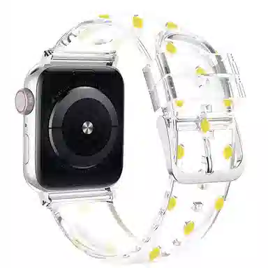 MSSM Apple Watch ESS9876
