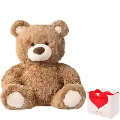 MINISO 26cm50cm