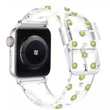 MSSM Apple Watch ESS9876