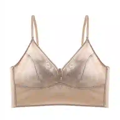 黛尔佳人 无痕大胸显小胸聚拢性感文胸 女款