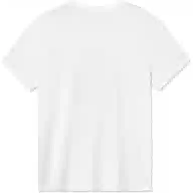 levis T