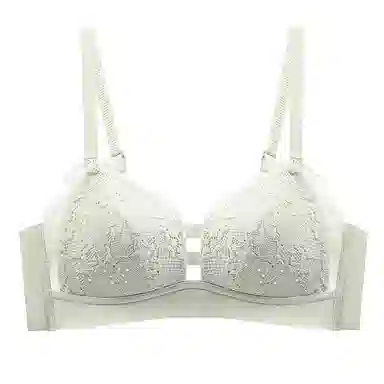 黛尔佳人 聚拢小胸显大透气文胸 女款