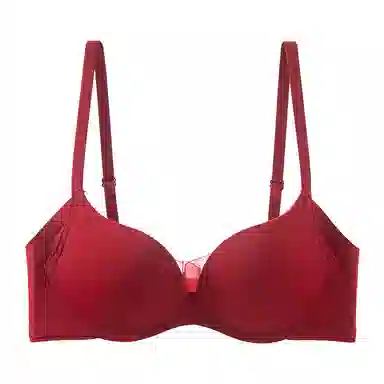 黛尔佳人 无痕超薄款大胸显小胸聚拢文胸 女款