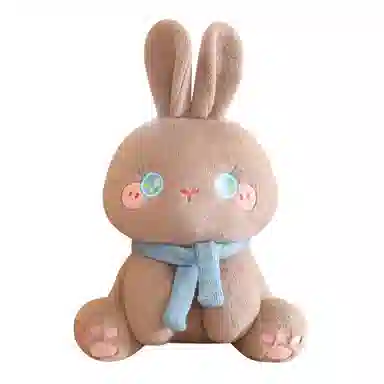 30cm50cm