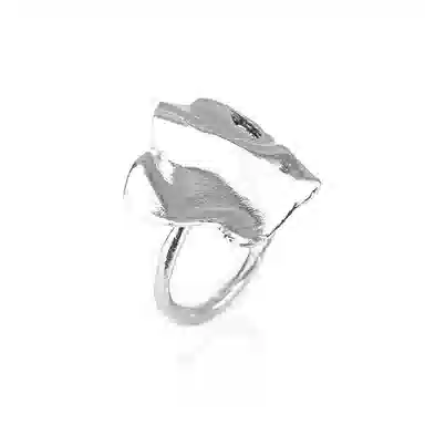 ROGA ins 925