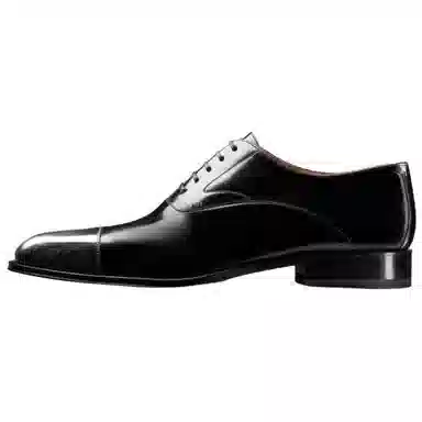 Dior Timeless Oblique