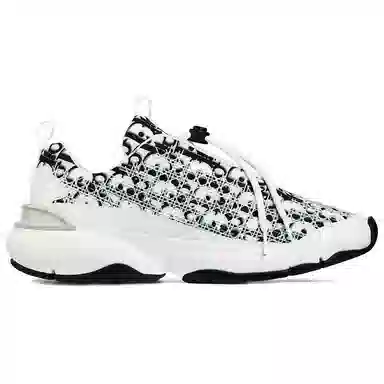 Dior B24