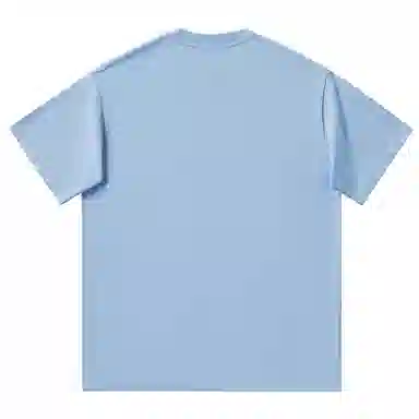 SandKnit Blackpig cleanfit T