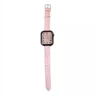 MSSM Apple Watch ESS98765