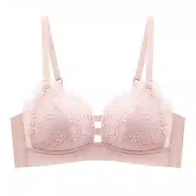 黛尔佳人 聚拢小胸显大透气文胸 女款