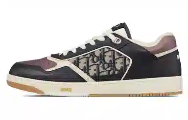 DIOR B27
