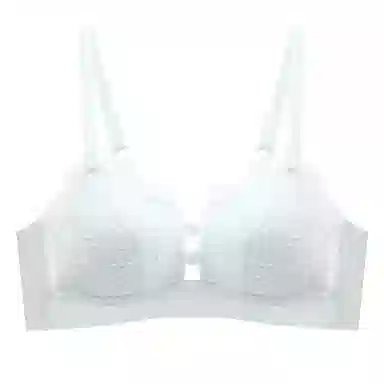 黛尔佳人 聚拢小胸显大透气文胸 女款