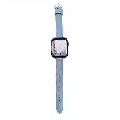 MSSM Apple Watch ESS98765