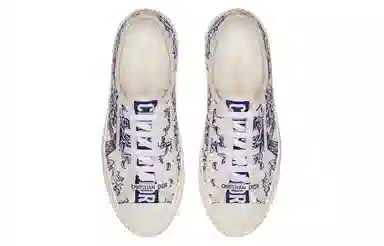DIOR Walk'n'Dior