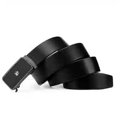 PIERRE CARDIN logo 3.4cm