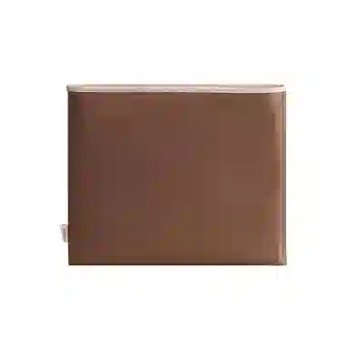 bagINBAG