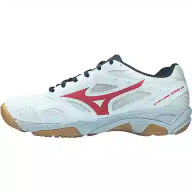 Mizuno