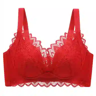 莫代尔 聚拢无钢圈蕾丝上托防下垂收副乳文胸 女款