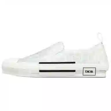 DIOR B23