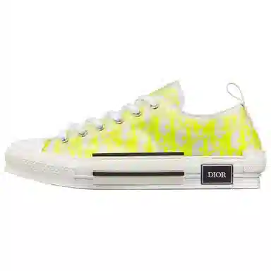DIOR B23