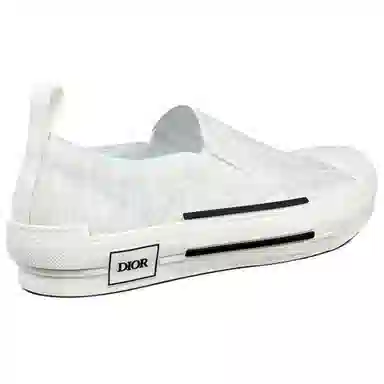 DIOR B23