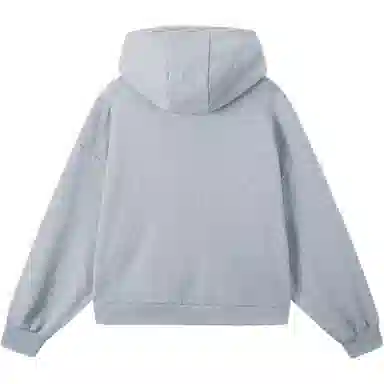 GAP Hoodie