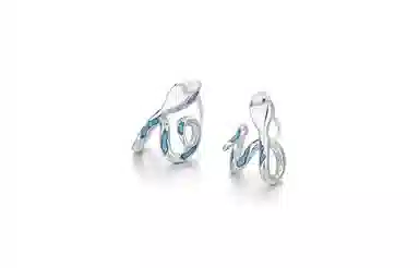 ENFANTIN S925 Silver Zircon Earrings