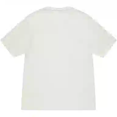 Stussy Beach Roots Tee