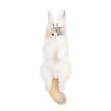 Chongker 50cm