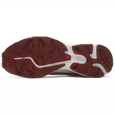 SALOMON XT-6