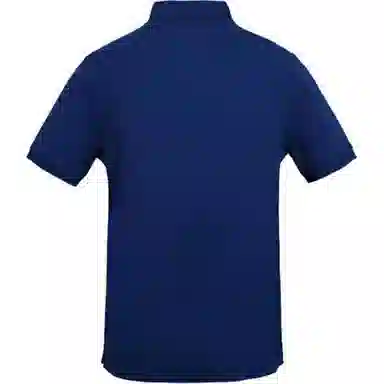 Burberry polo