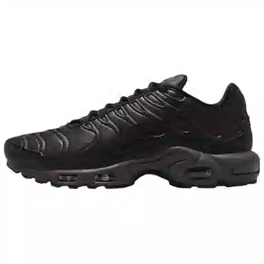 Nike Air Max Plus "Black Tea"