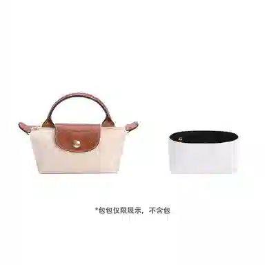 mini Longchamp